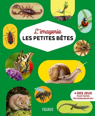 L'imagerie - les petites bêtes - Image principale
