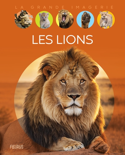 Les lions - Image principale