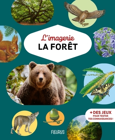 L'imagerie - la forêt - Image principale