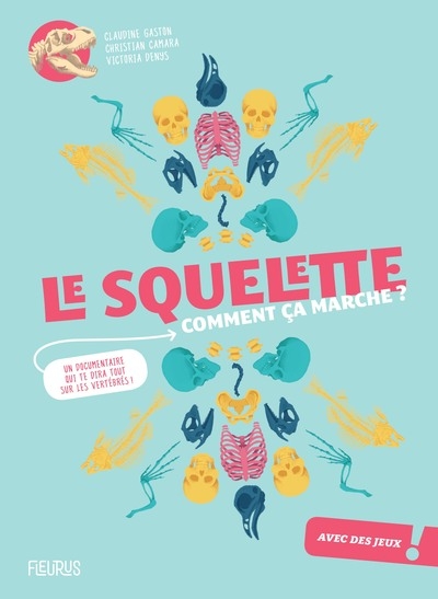 Le squelette, comment ça marche ? - Image principale