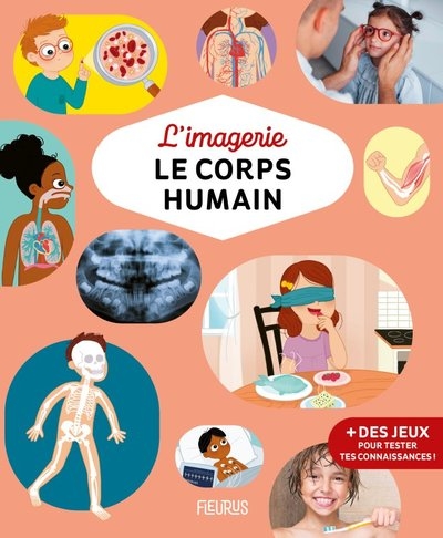 L'imagerie - le corps humain - Image principale