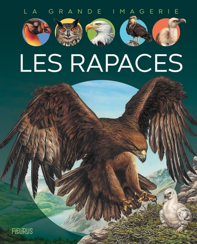 Les rapaces - Image principale
