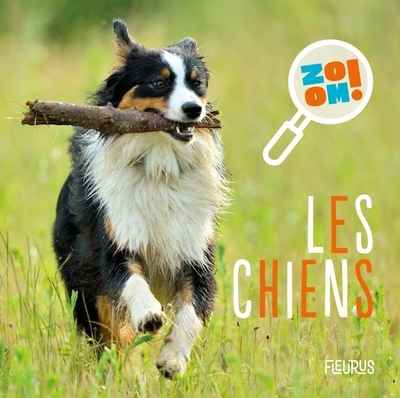 Les chiens - Image principale