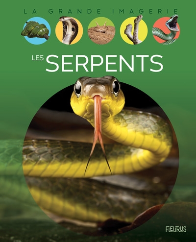 Les serpents - Image principale
