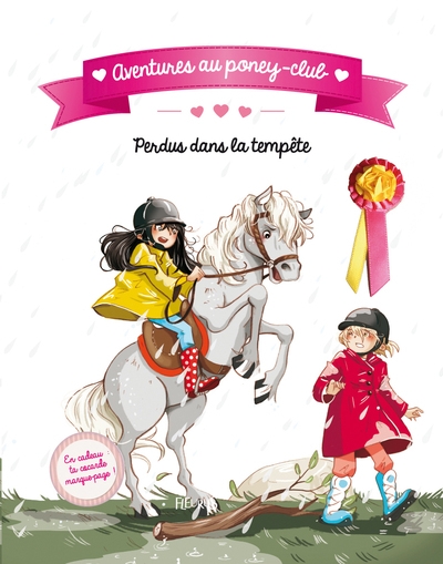 Perdus dans la tempete - Image principale