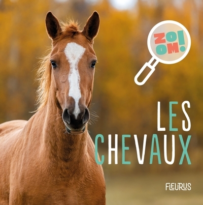 Les chevaux - Image principale