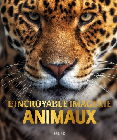 L'incroyable imagerie animaux - Image principale