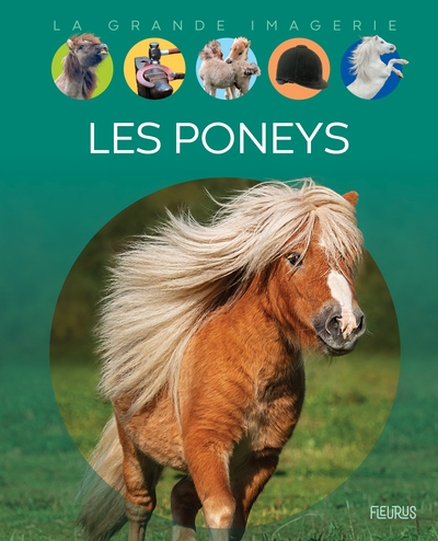 Les poneys - Image principale