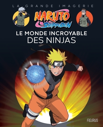Naruto shippuden - le monde incroyable des ninjas - Image principale