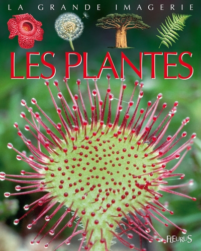 Les plantes - Image principale