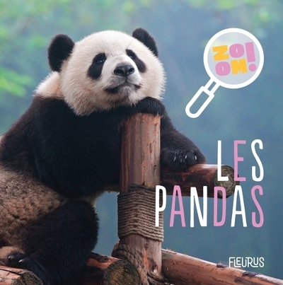 Les pandas - Image principale
