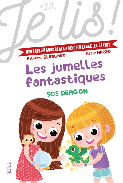 Les jumelles fantastiques - tome 2 - sos dragon - Image principale