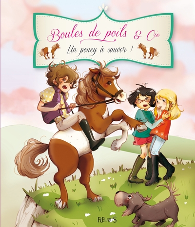 Un poney a sauver ! - Image principale