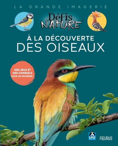 À la découverte des oiseaux - Image principale
