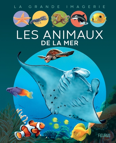 Les animaux de la mer - Image principale
