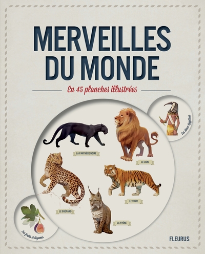 Merveilles du monde en 45 planches illustrees - Image principale