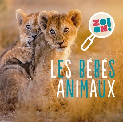 Les bébés animaux - Image principale
