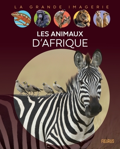 Les animaux d'afrique - Image principale