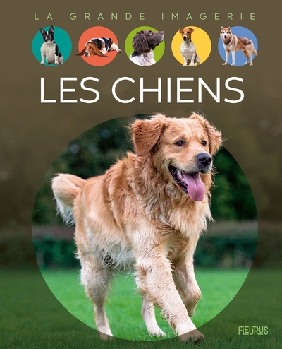 Les chiens - Image principale