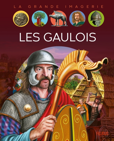 Les gaulois - Image principale
