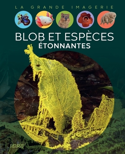 Blob et espèces étonnantes - Image principale