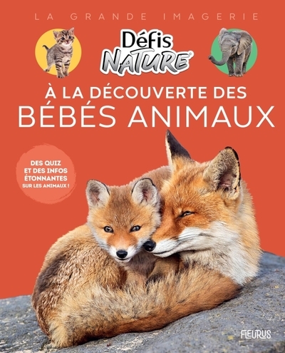 À la découverte des bébés animaux - Image principale