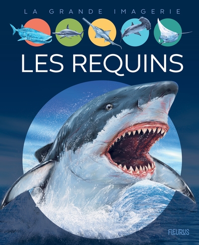 Les requins - Image principale