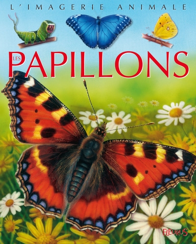 Les papillons - Image principale