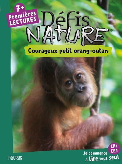 Courageux petit orang-outan - Image principale