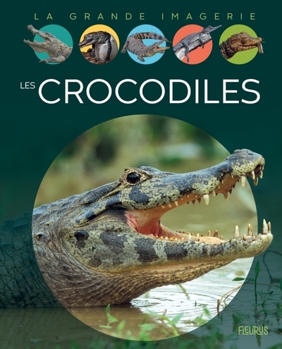Les crocodiles - Image principale