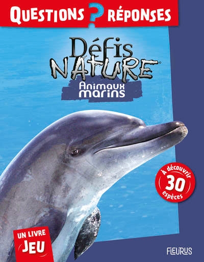 Animaux marins - Image principale
