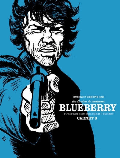 Les carnets de blueberry - tome 3 - Image principale