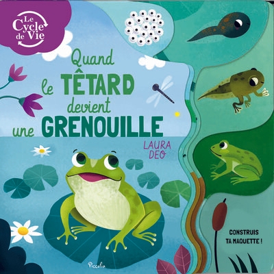Quand le têtard devient une grenouille - Image principale