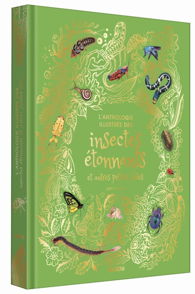 Anthologie illustrée des insectes étonnants et autres petites bêtes - Image principale