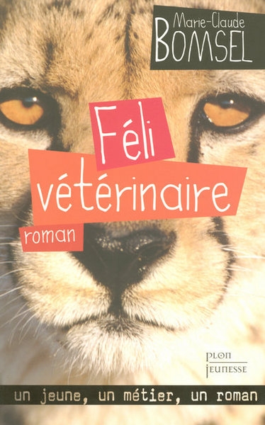 Feli vétérinaire - Image principale