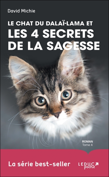 Le chat du dalaï-lama et les 4 secrets de la sagesse (tome 4) - Image principale