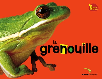 La grenouille - Image principale