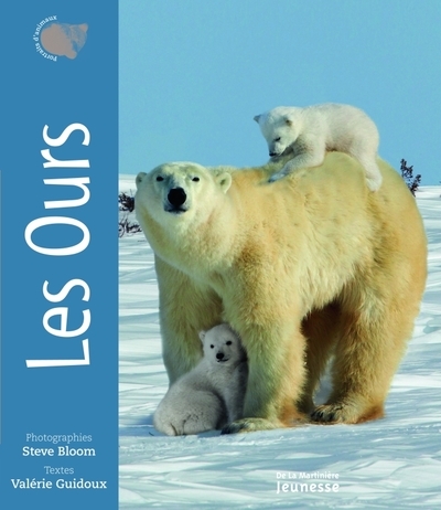 Les ours - Image principale