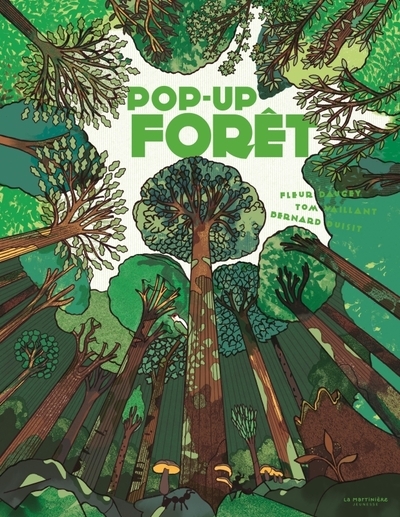 Pop-up forêt - Image principale