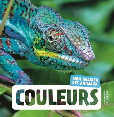 Couleurs - Image principale