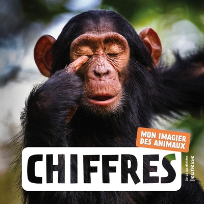 Chiffres - Image principale