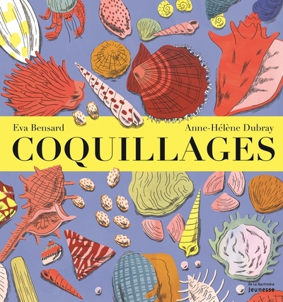 Coquillages - Image principale