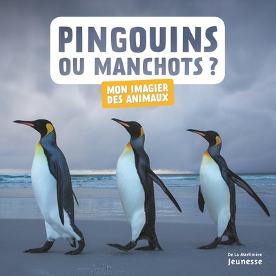 Pingouins ou manchots ? - Image principale