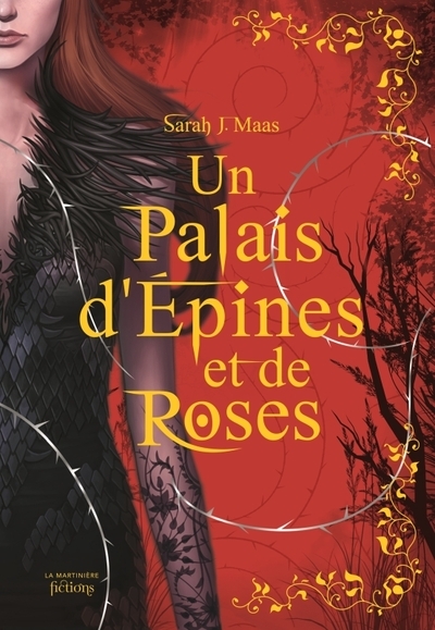Un palais d'épines et de roses t1 - collector - Image principale