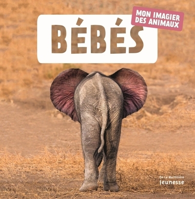 Bébés - Image principale