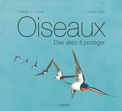 Oiseaux - Image principale