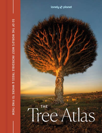 The tree atlas 1ed -anglais- - Image principale