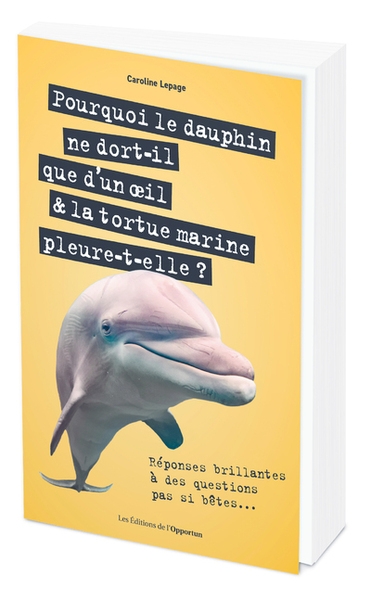 Pourquoi le dauphin ne dort-il que d'un oeil & la tortue marine pleure-t-elle ? - réponses brillante - Image principale