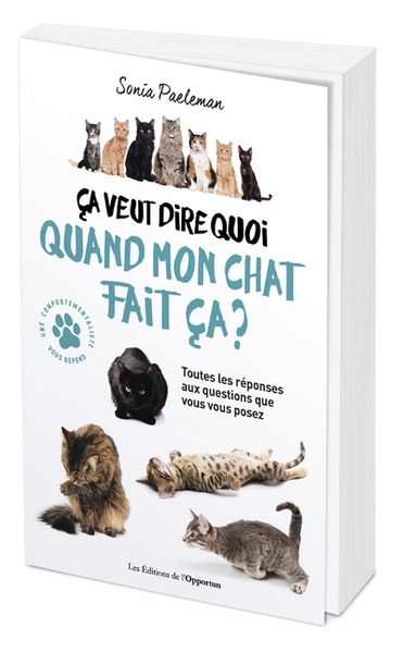 Ca veut dire quoi quand mon chat fait ça ? - Image principale