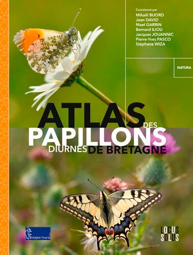 Atlas des papillons diurnes de bretagne - Image principale